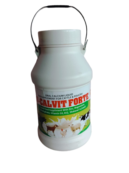 Calvit forte